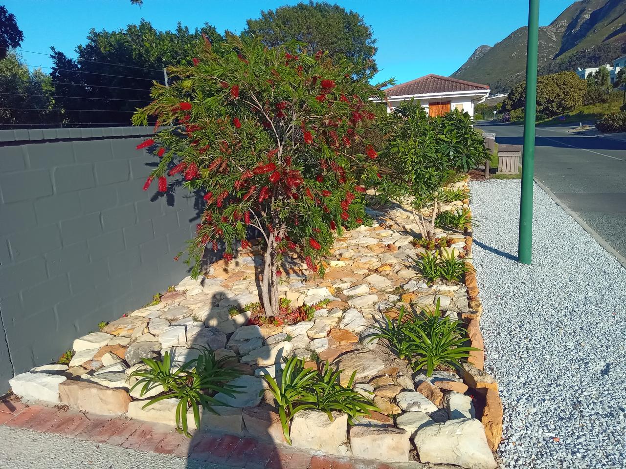 After: Pathway and vegetable garden